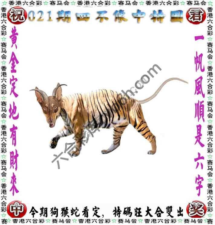 四不像中特图