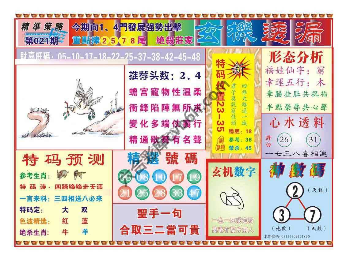玄机透漏