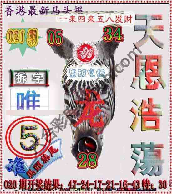 香港马头报