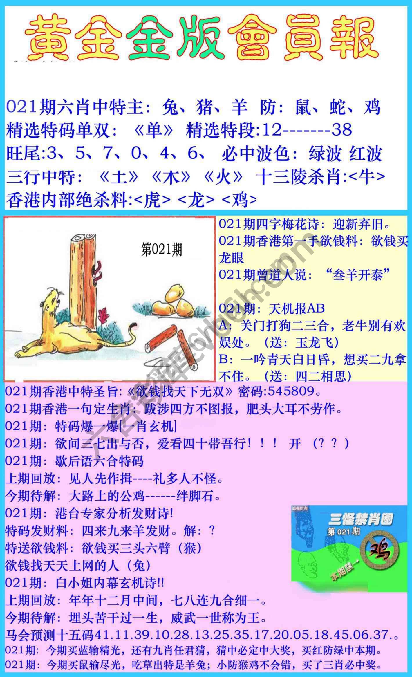 黄金金版会员报