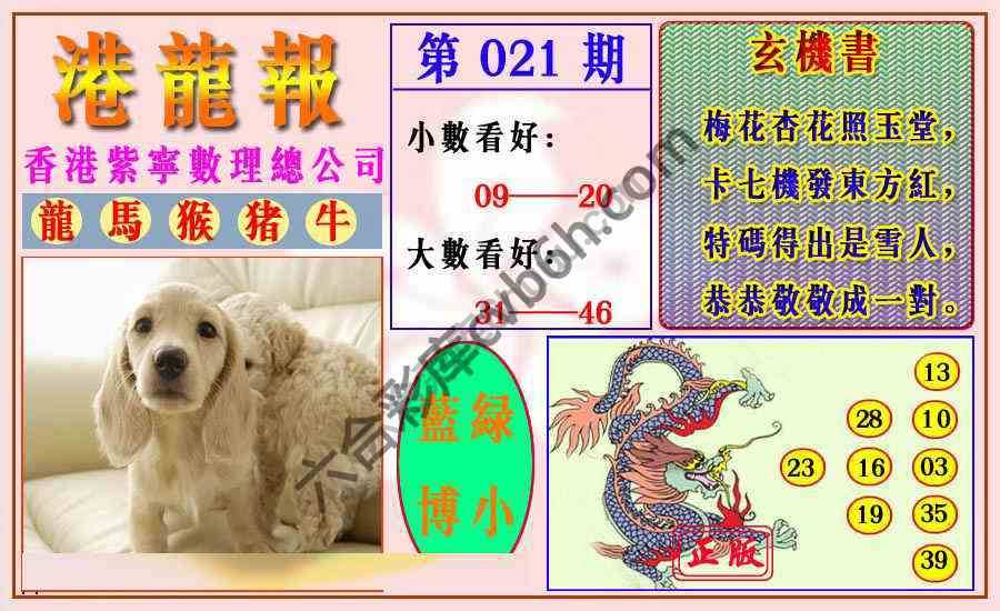 港龙报
