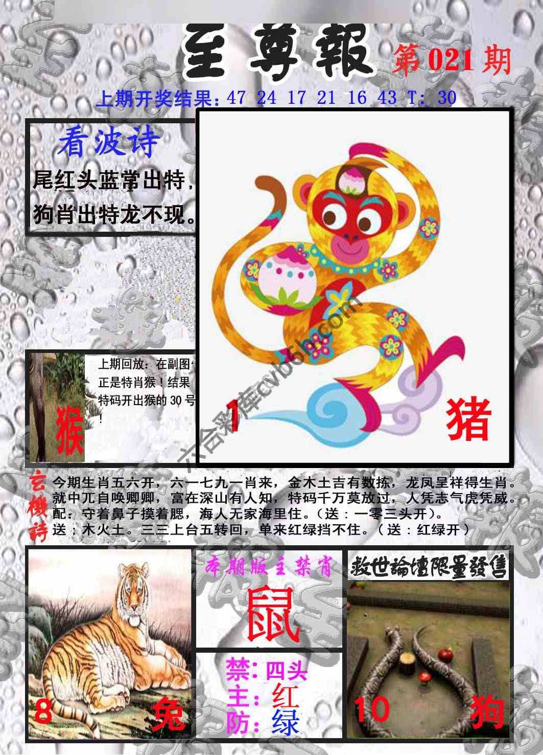 至尊报