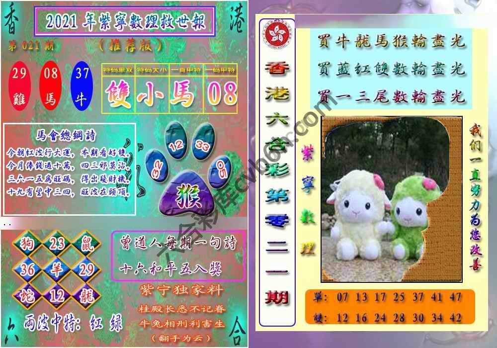 数理救世报