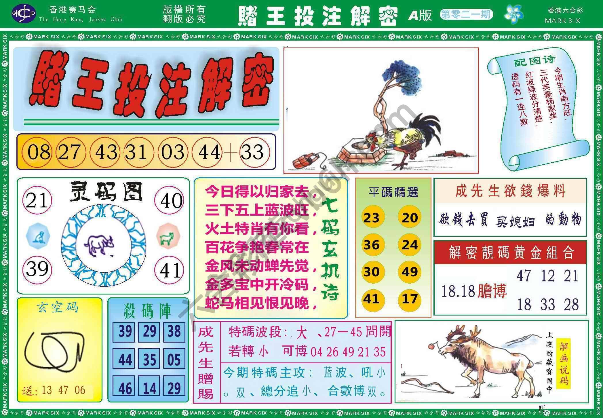 赌王投注解密