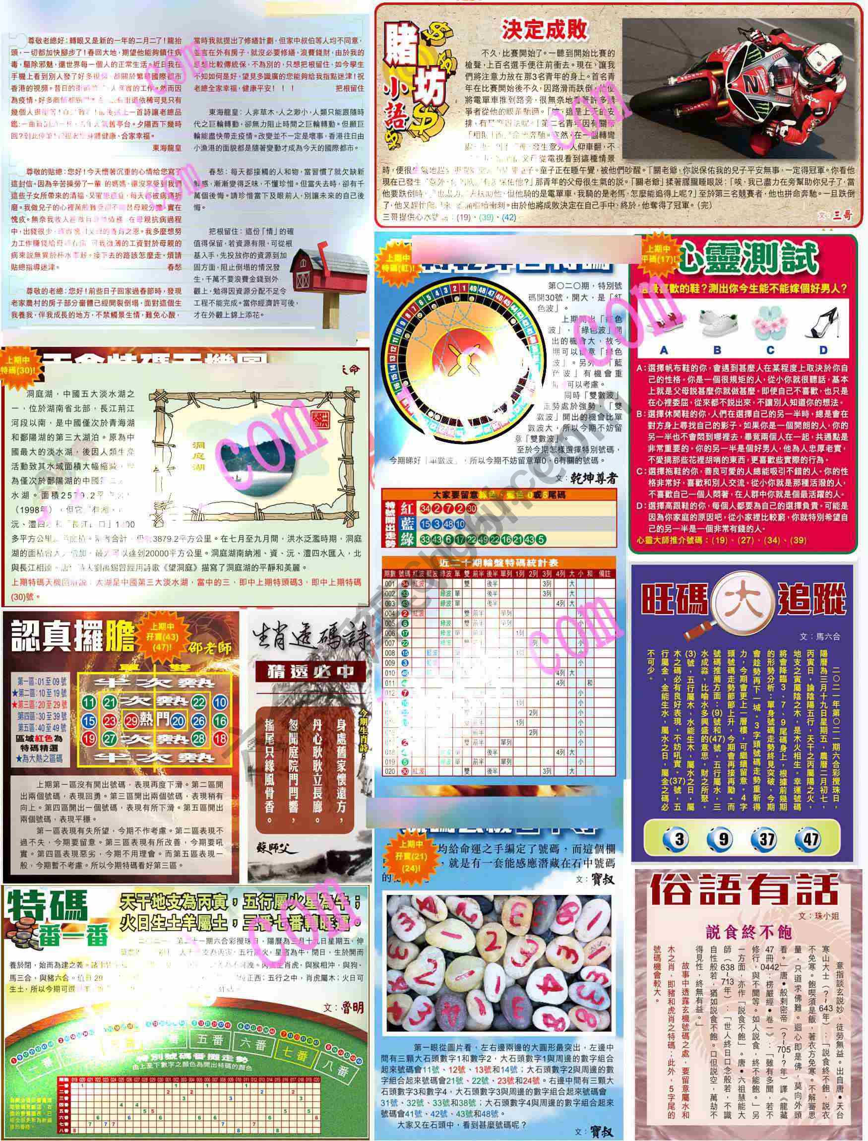 大版贴士皇