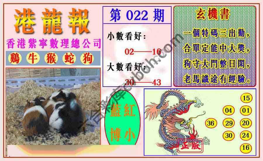港龙报