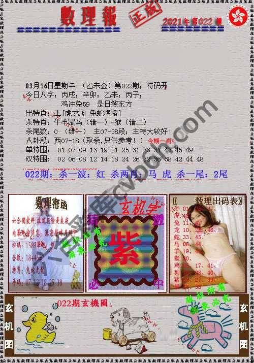 数理报