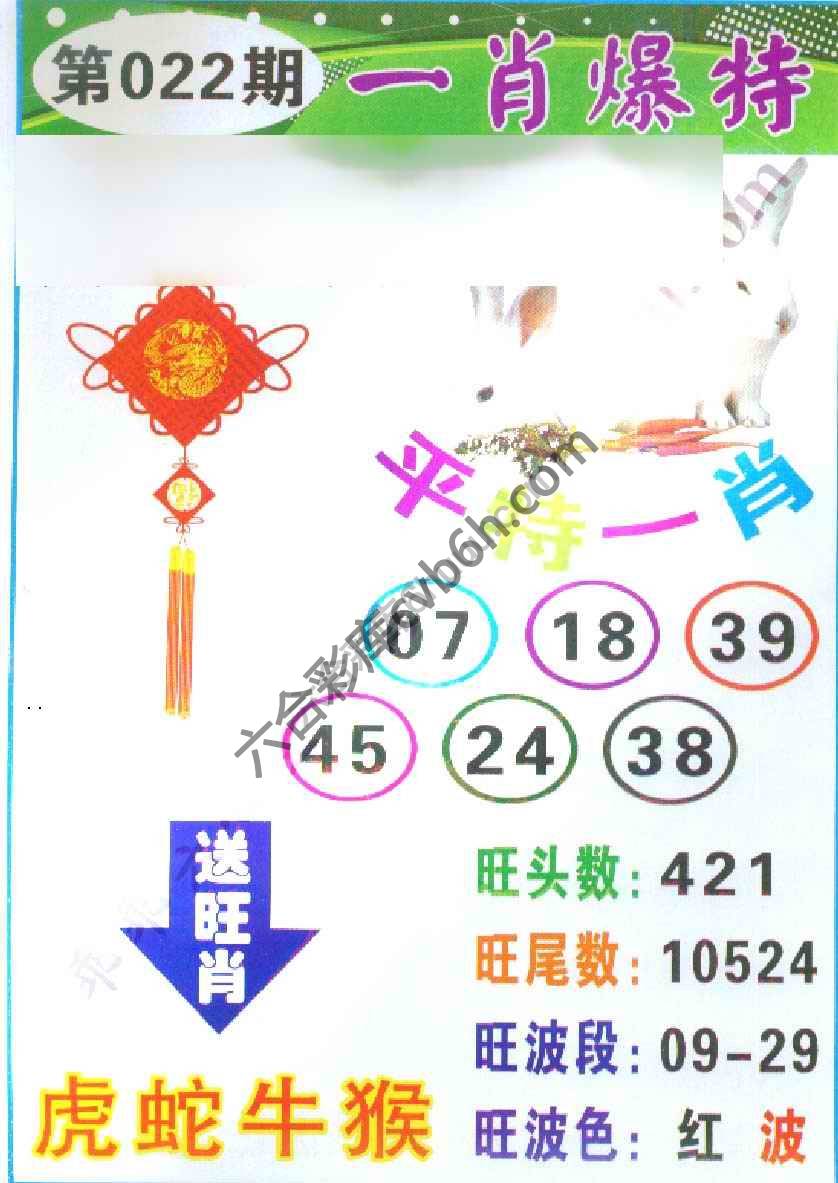 一肖爆特（新版）