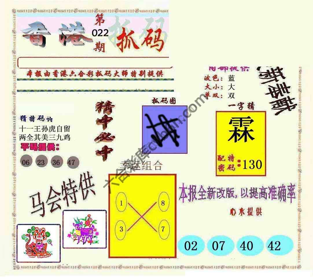 新抓码王