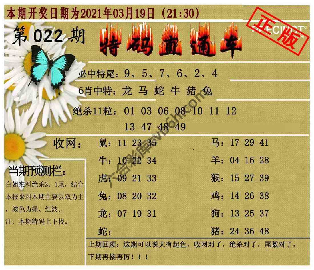 特码直通车