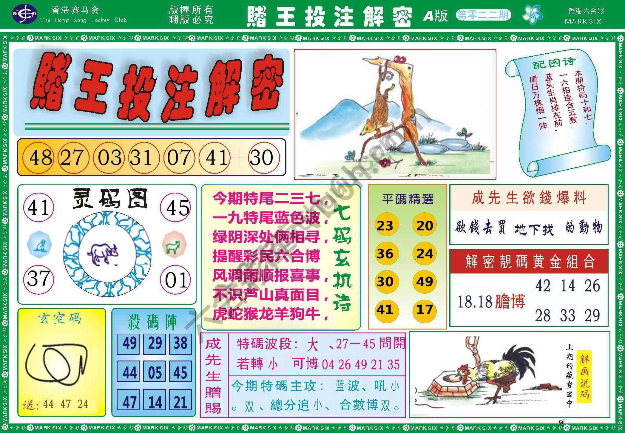 赌王投注解密