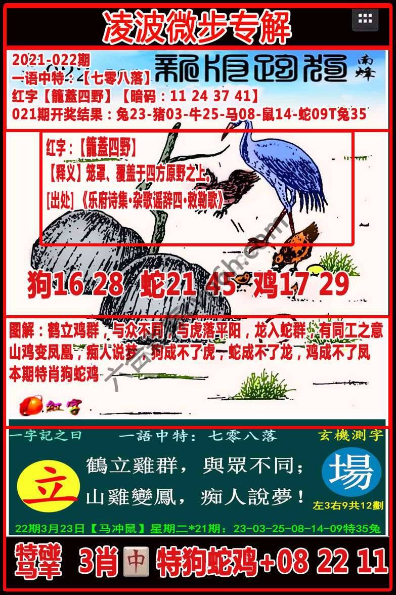 凌波微步解跑狗