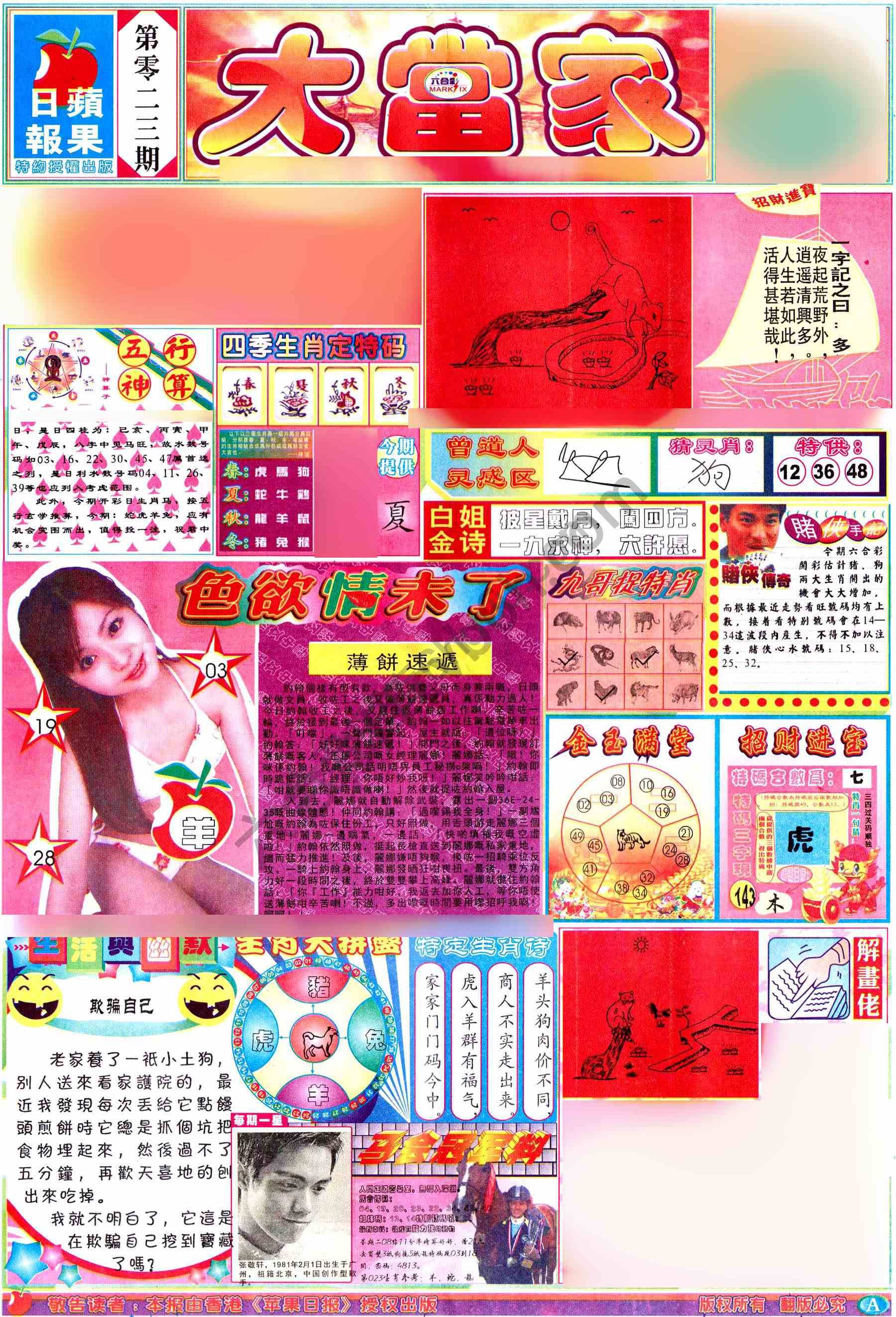 大当家