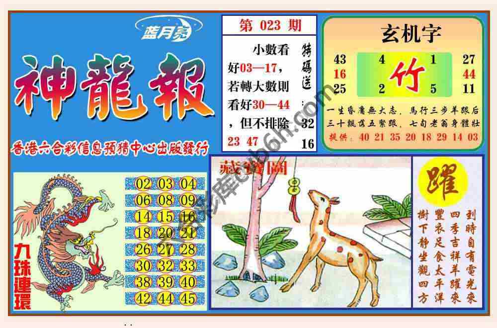 蓝月亮神龙报
