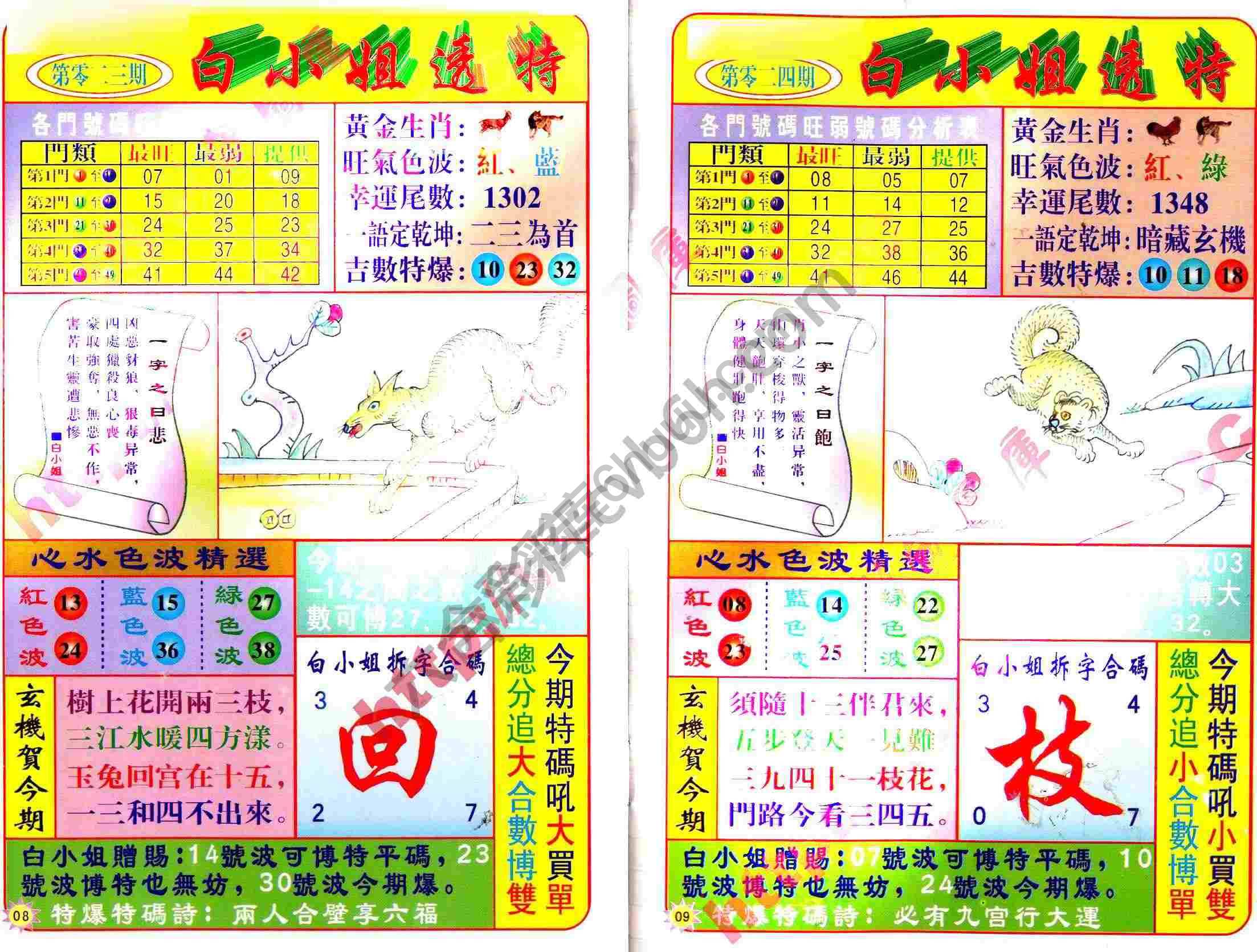 白小姐透特