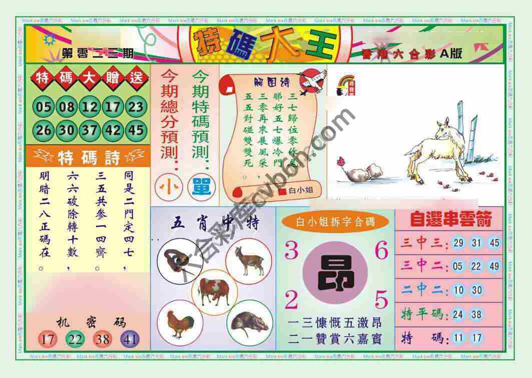 特码大王