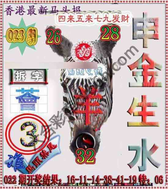 香港马头报