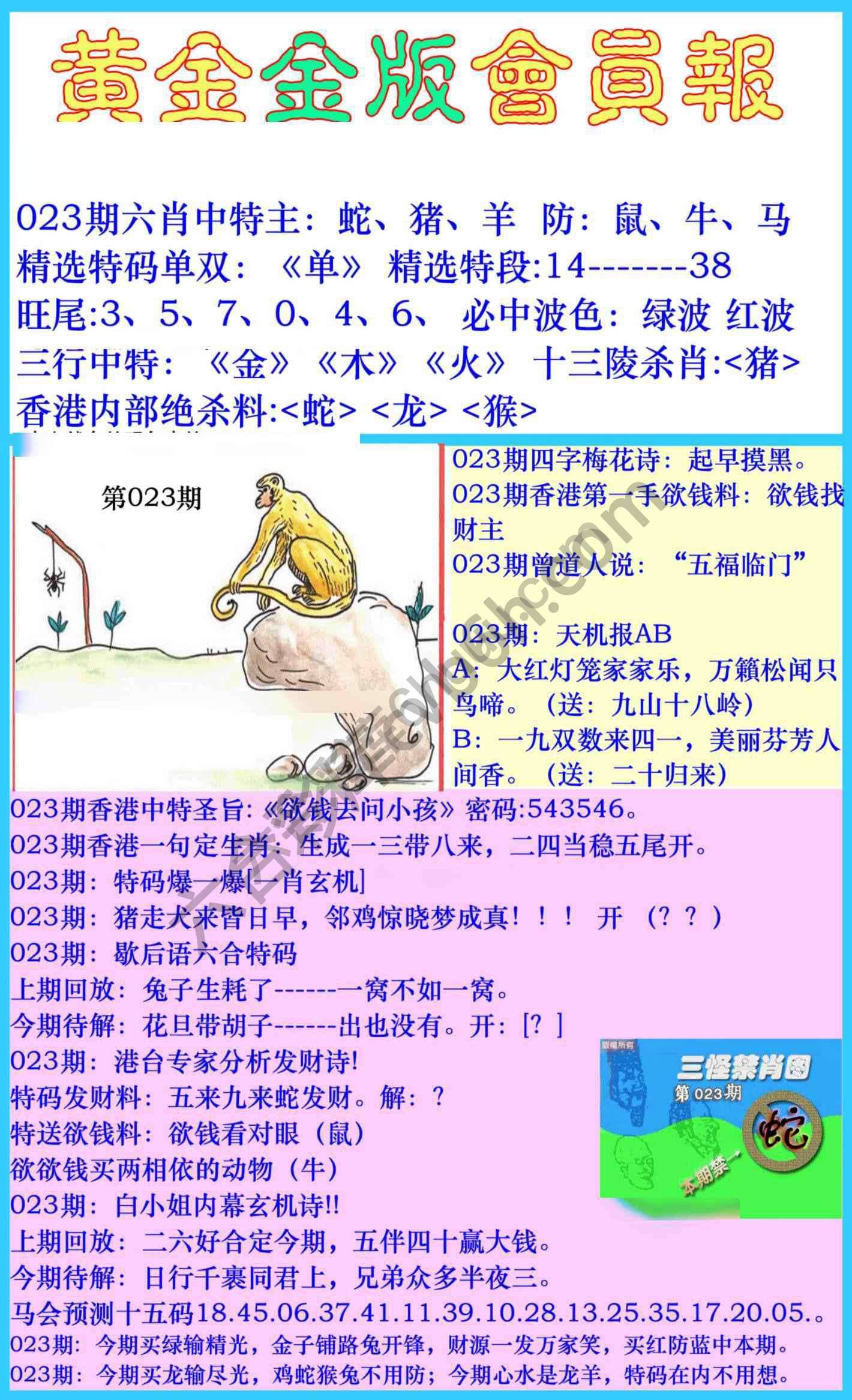 黄金金版会员报