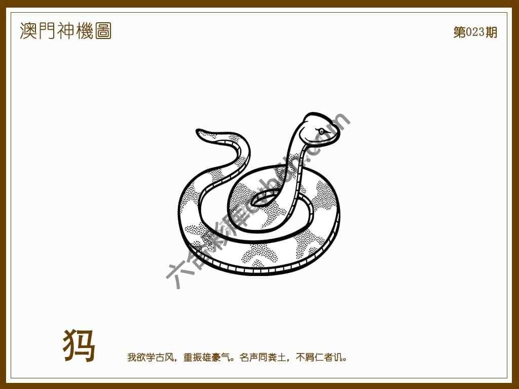 澳门神机图
