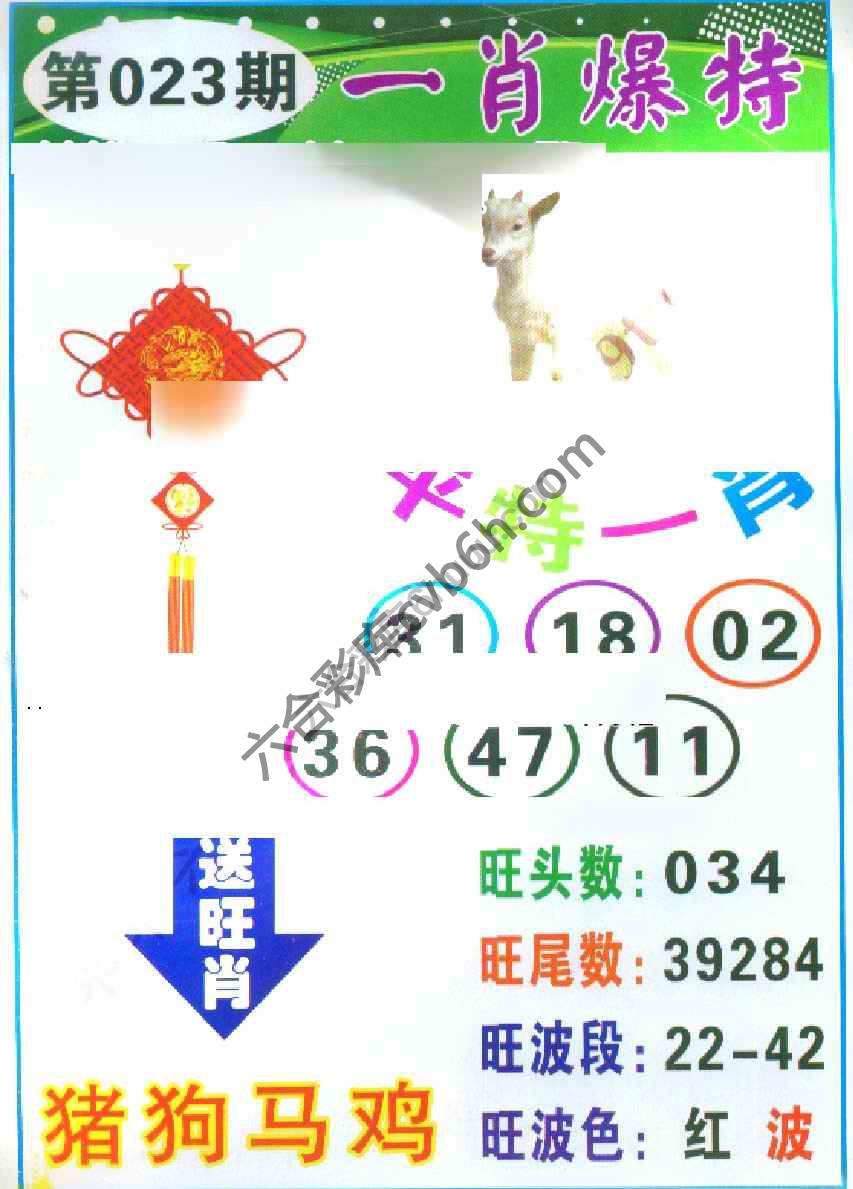 一肖爆特（新版）