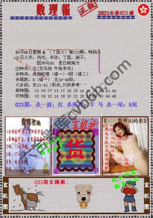 数理报