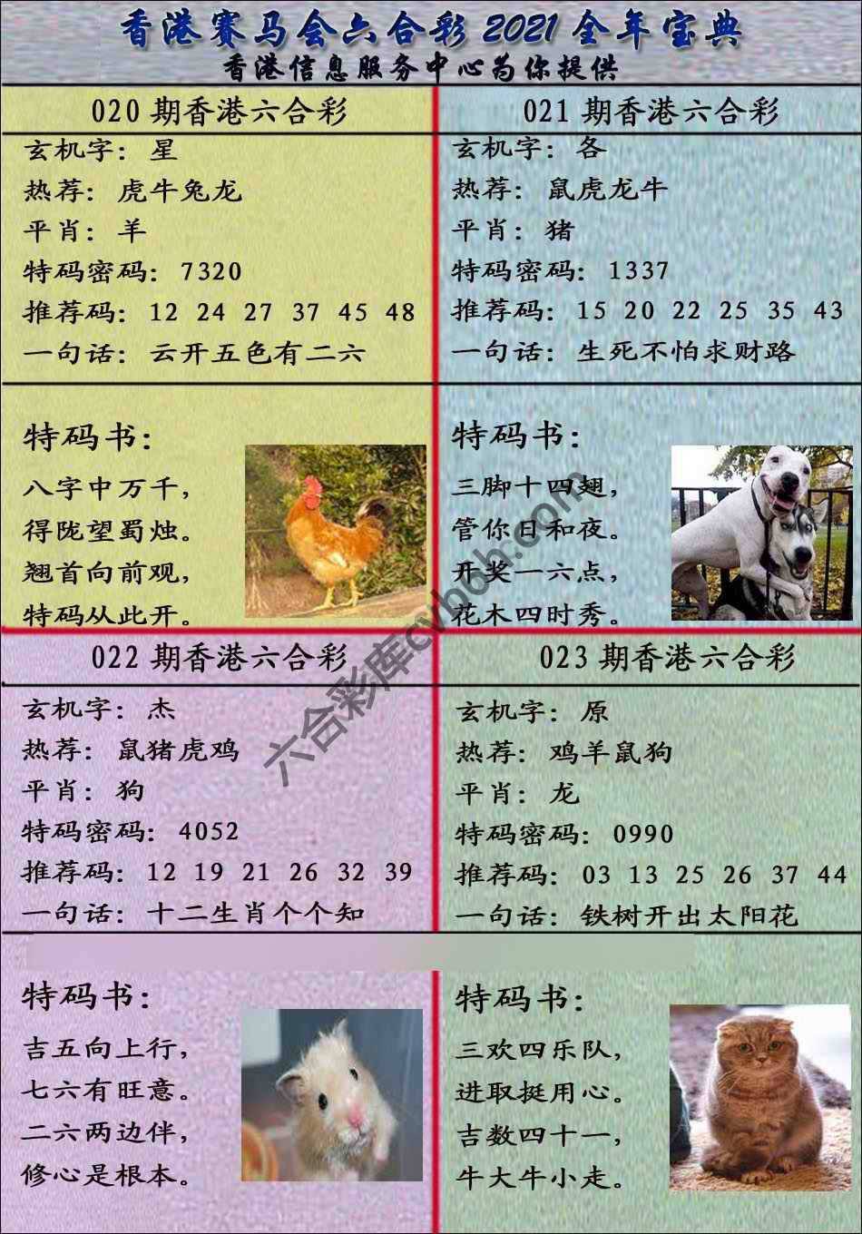宝典报