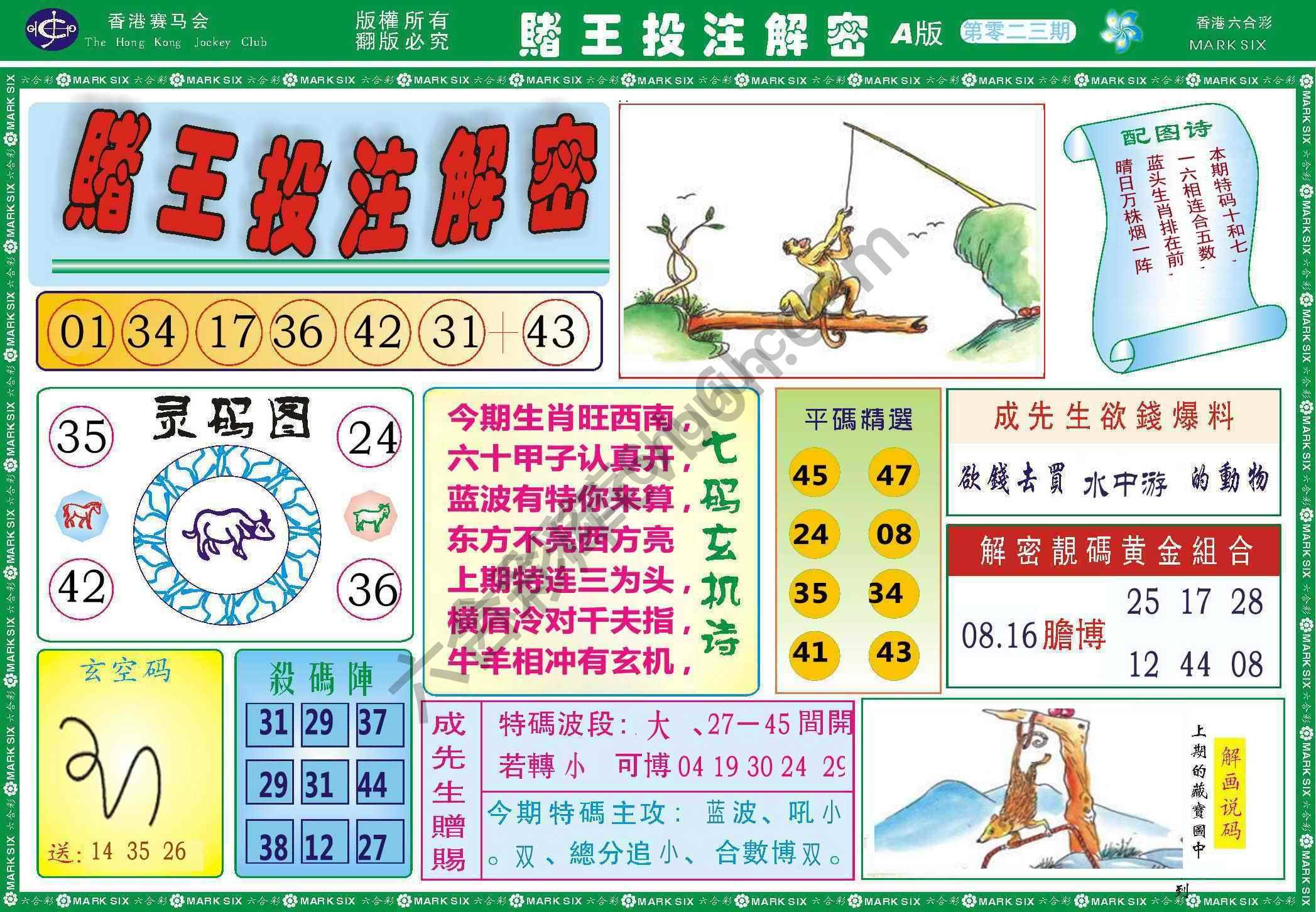 赌王投注解密