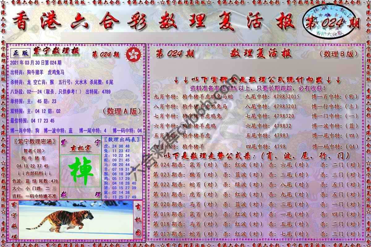 数理复活报