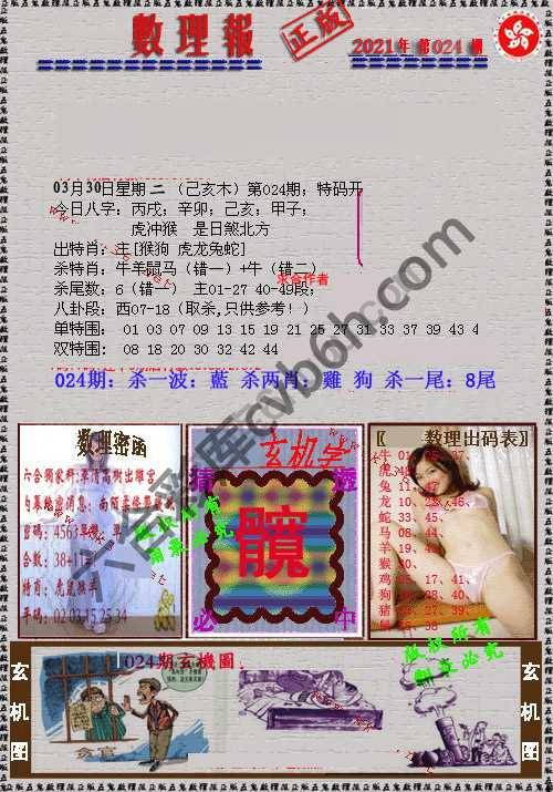 数理报