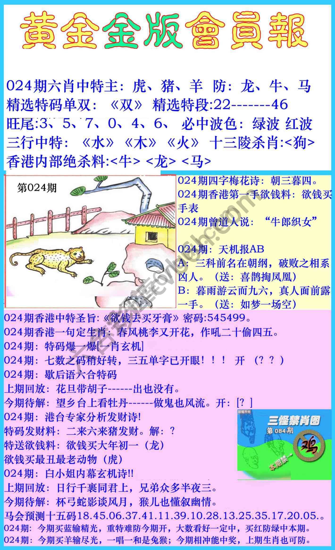 黄金金版会员报