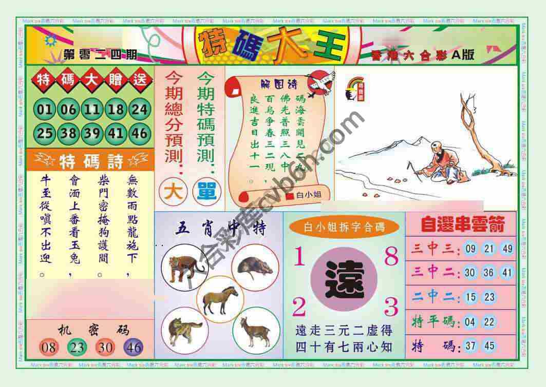 特码大王