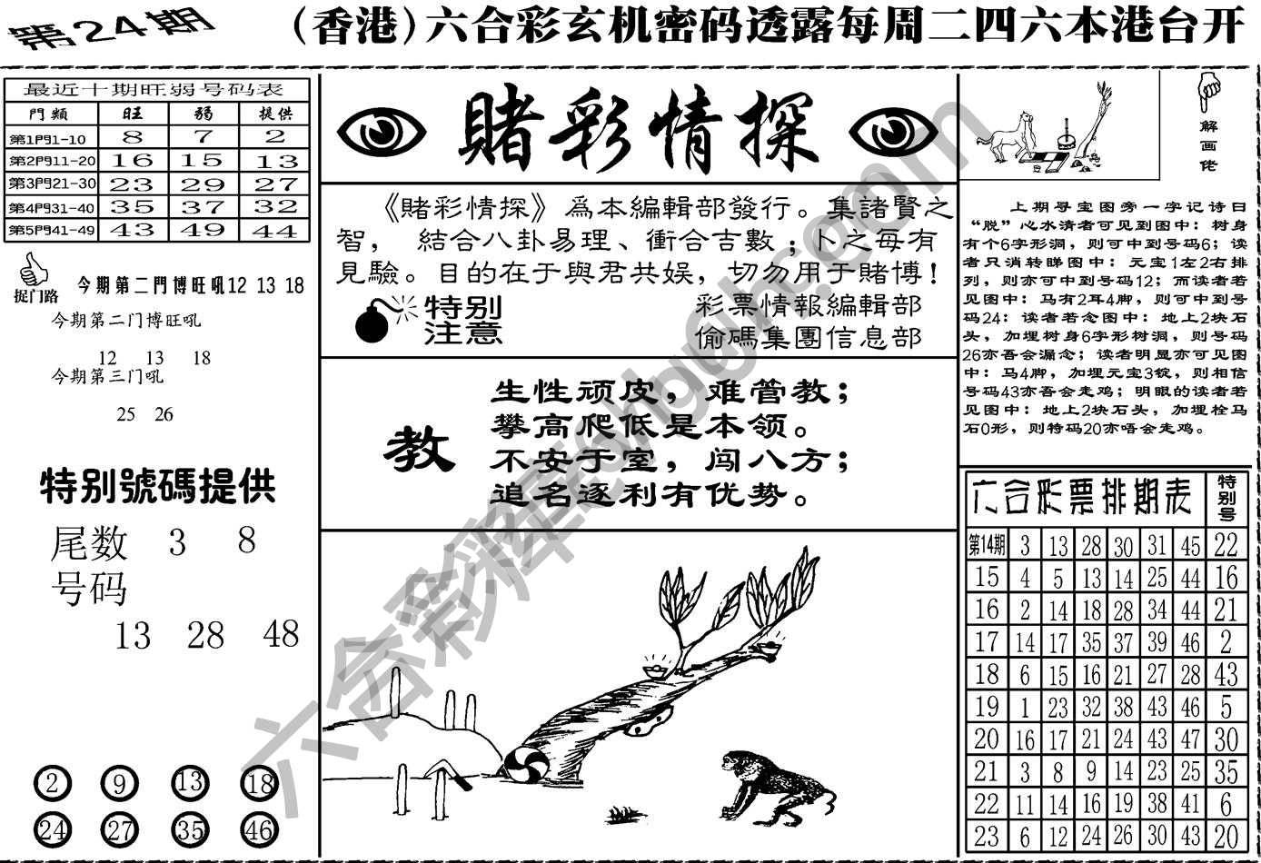 赌彩情探