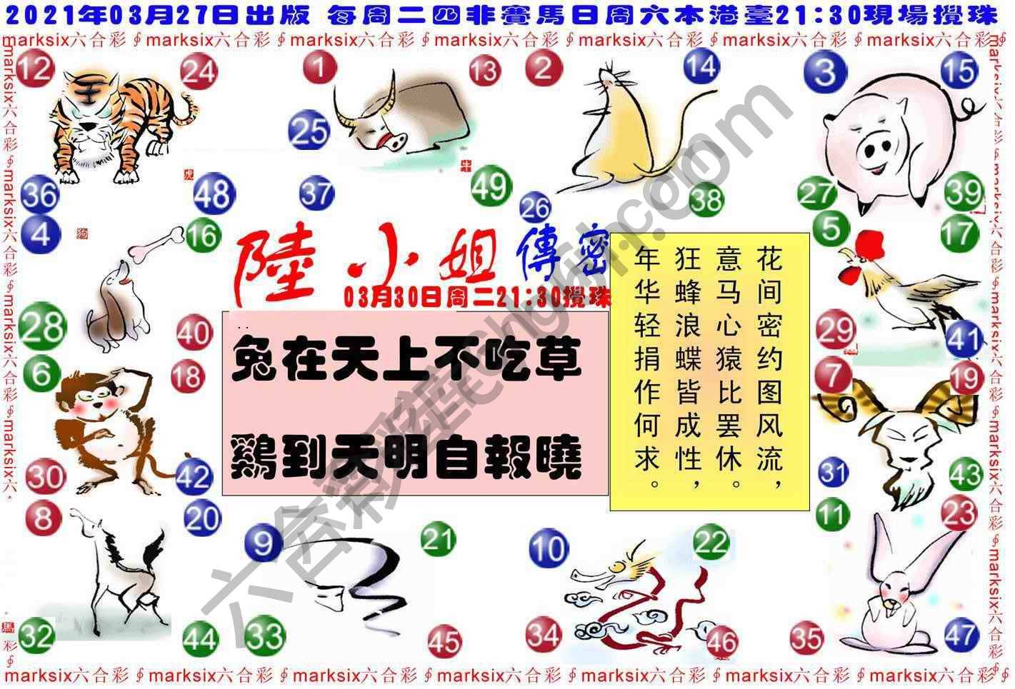 陆小姐传密