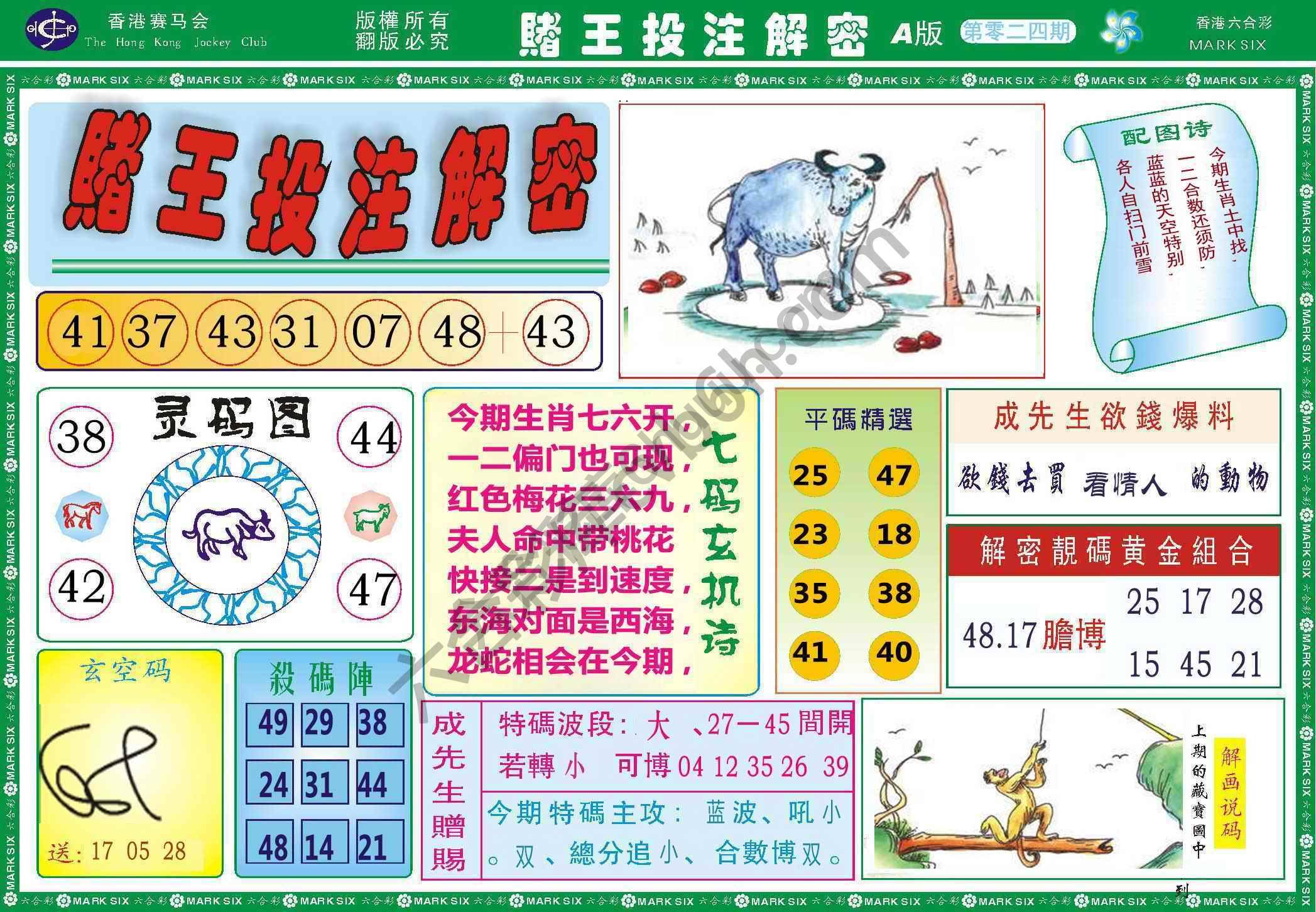 赌王投注解密