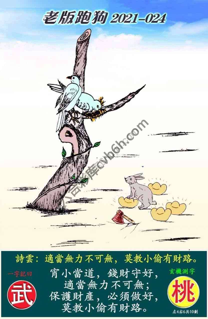 老版跑狗图