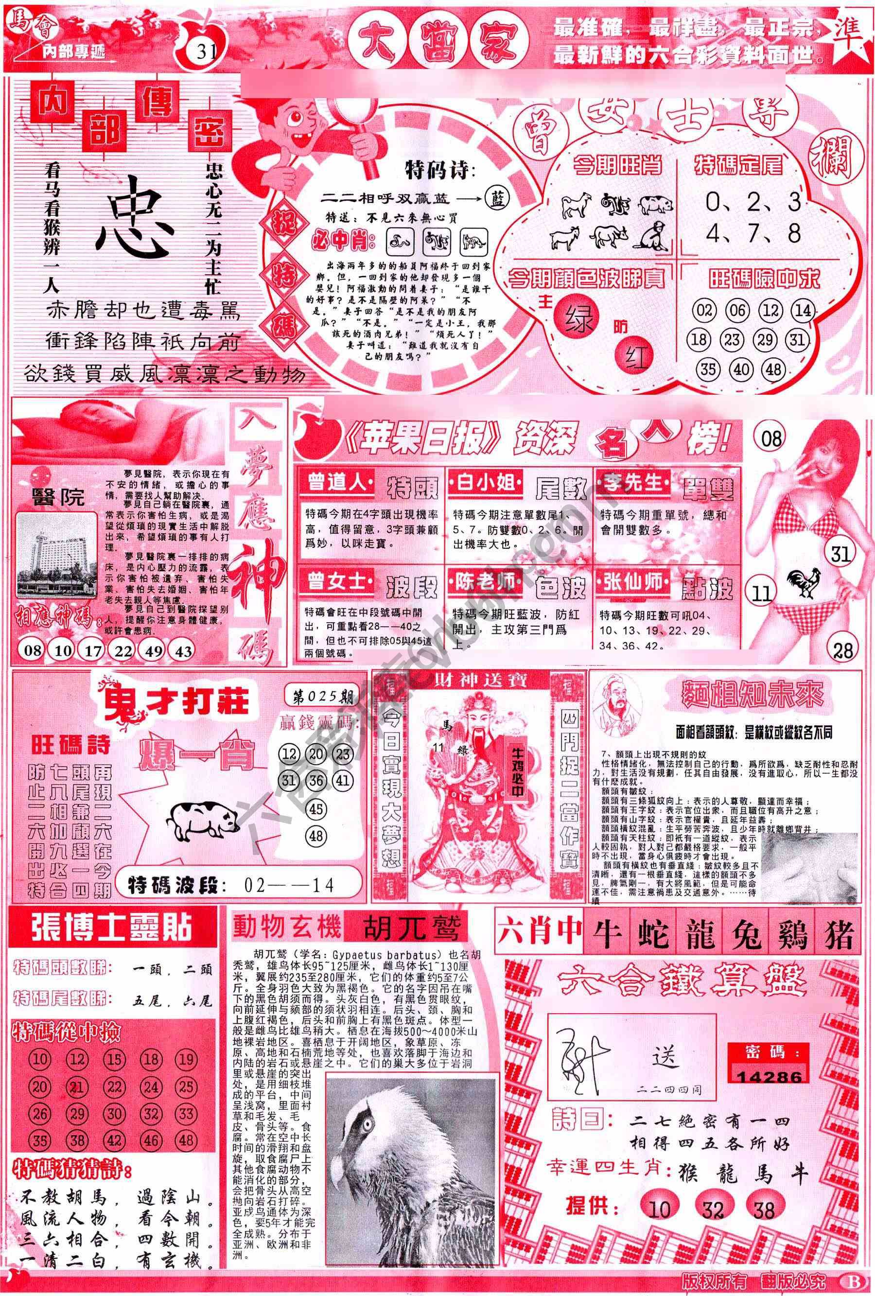 大当家