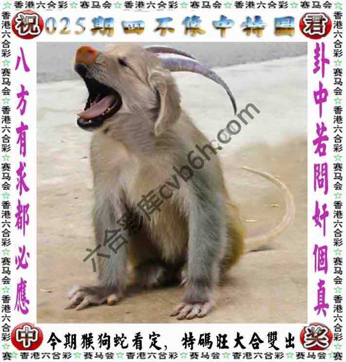 四不像中特图