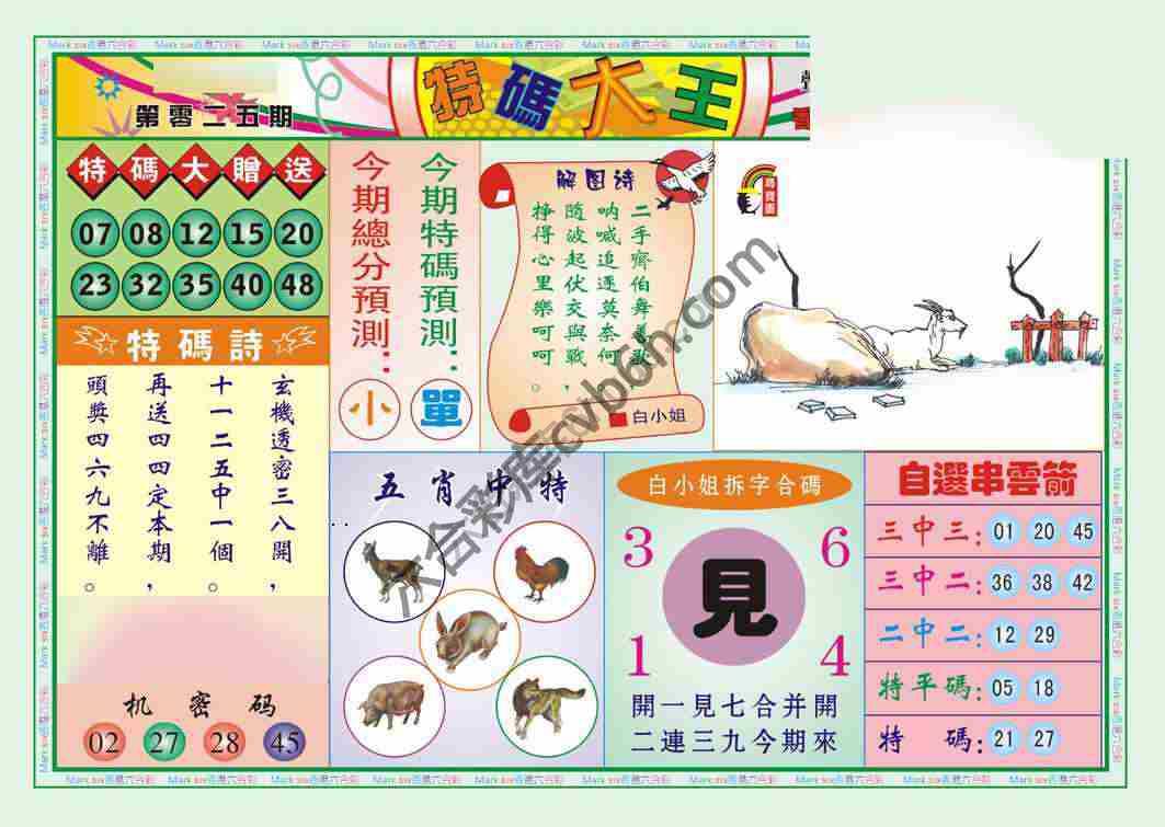 特码大王