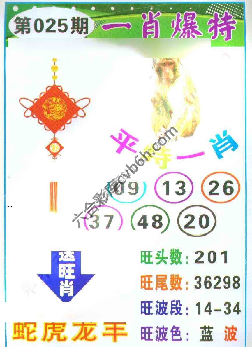 一肖爆特（新版）