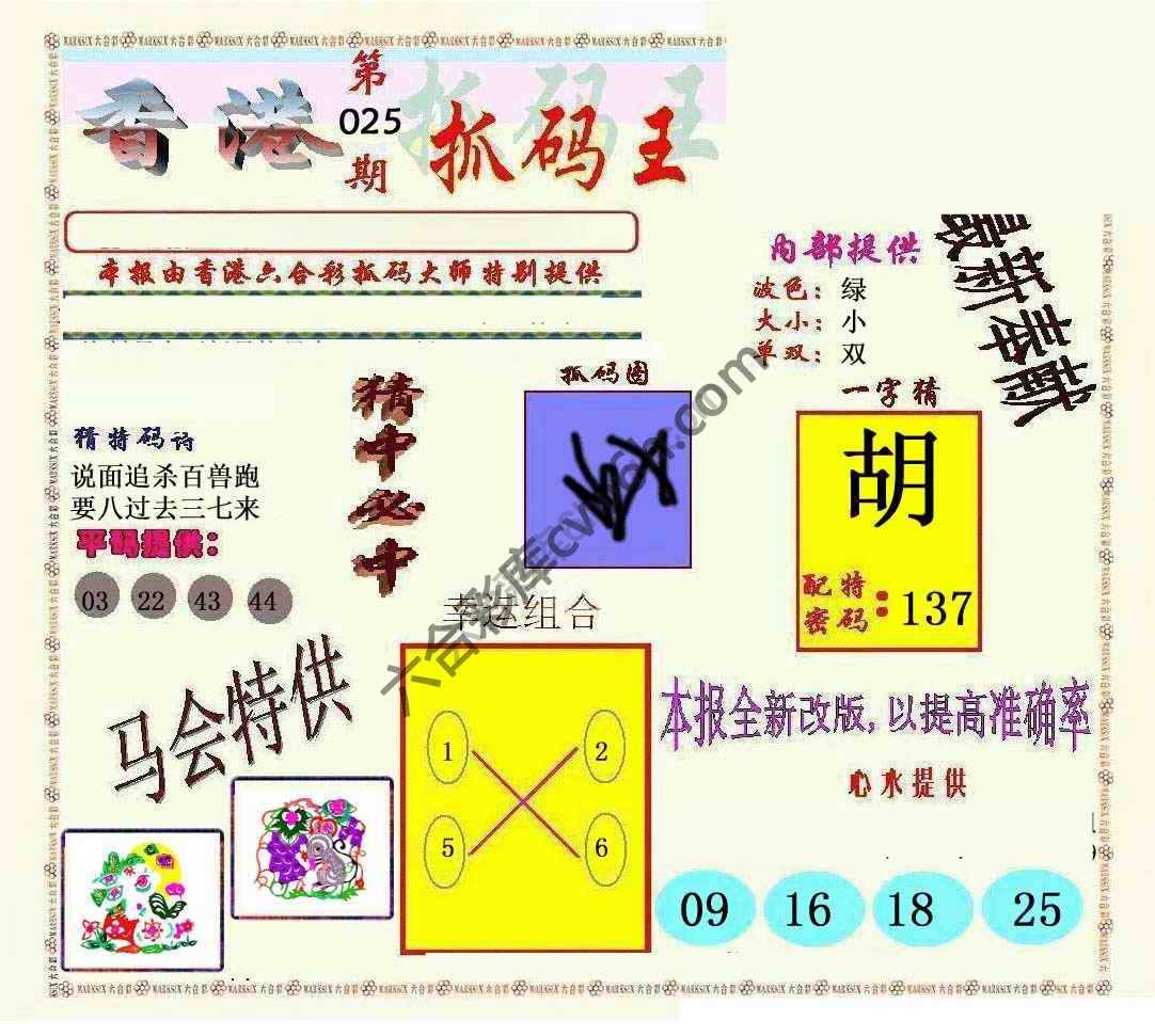 新抓码王