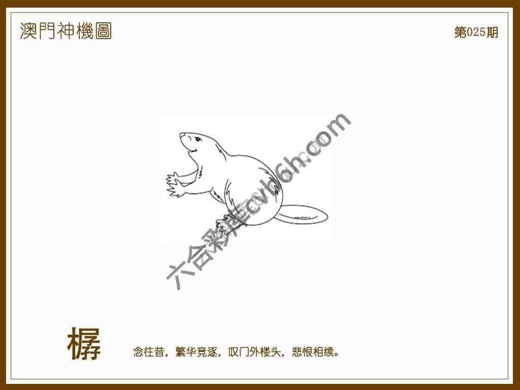 澳门神机图