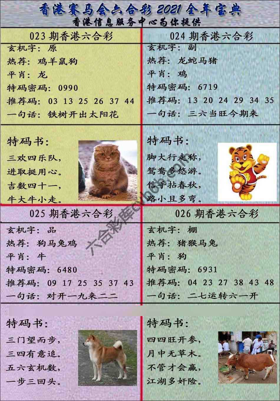 宝典报