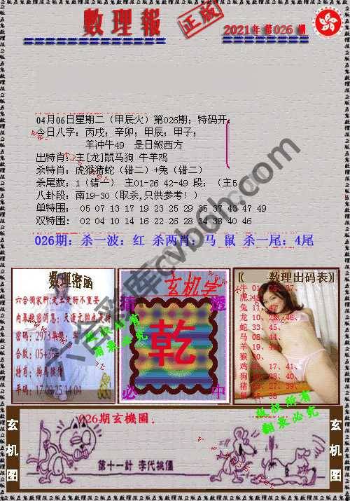 数理报