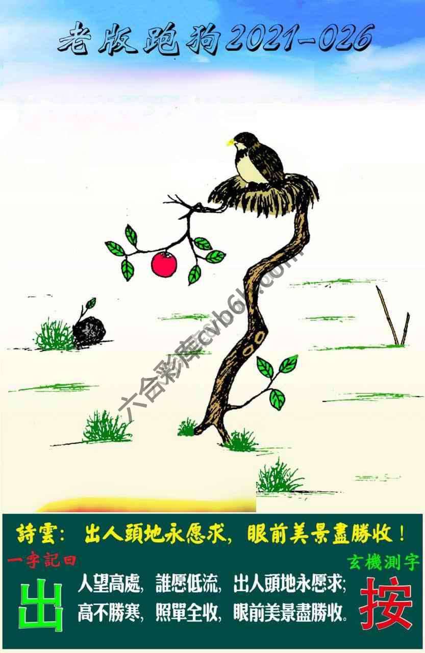 老版跑狗图