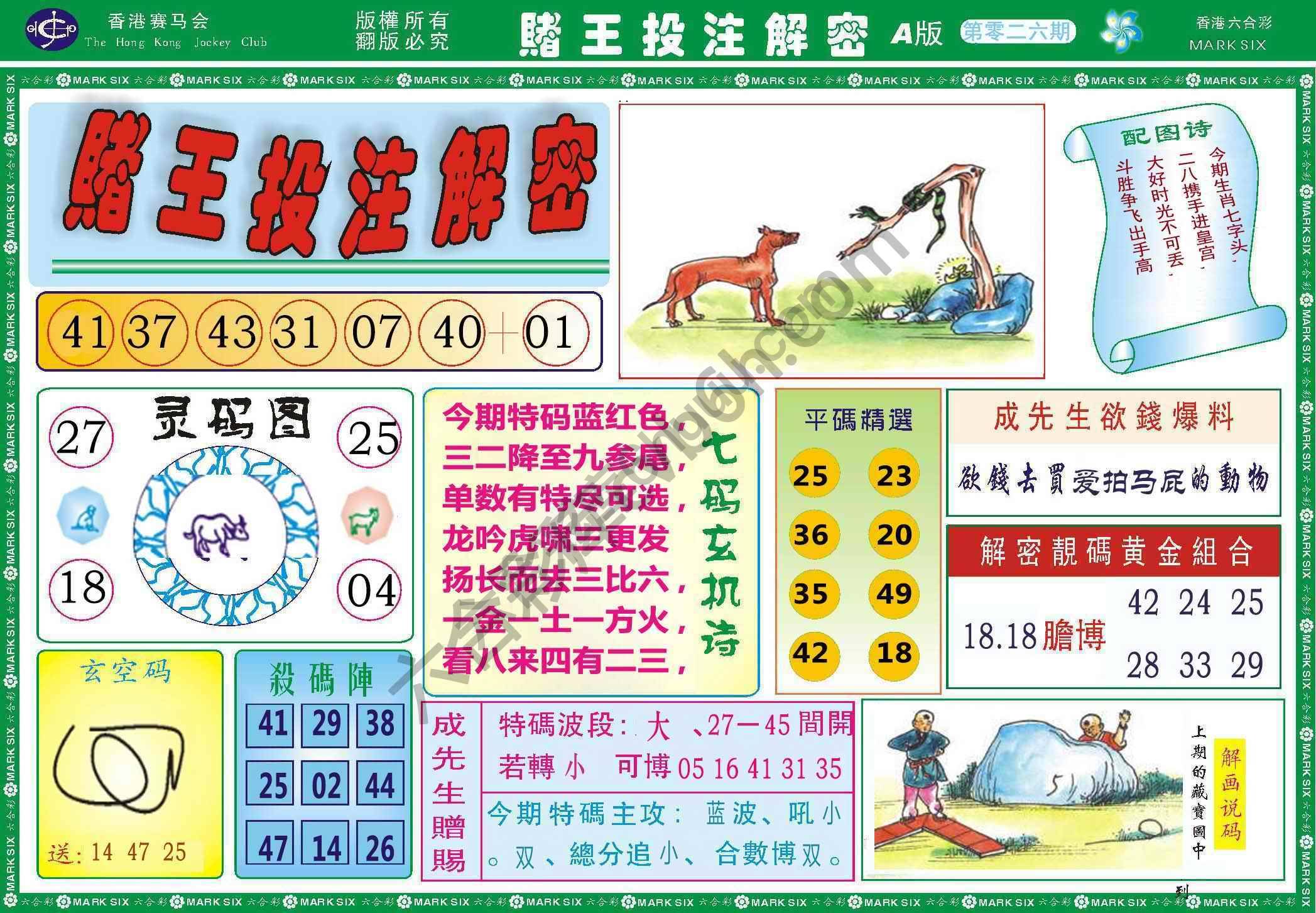 赌王投注解密