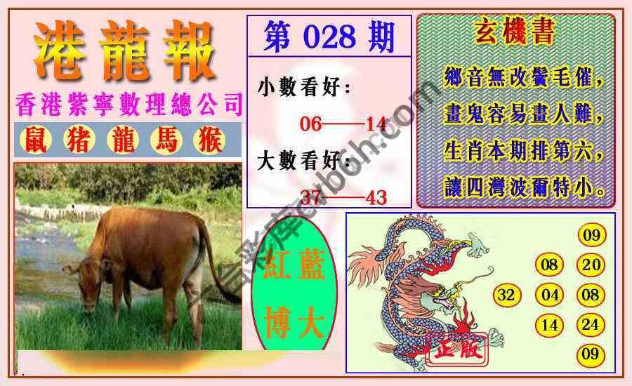 港龙报