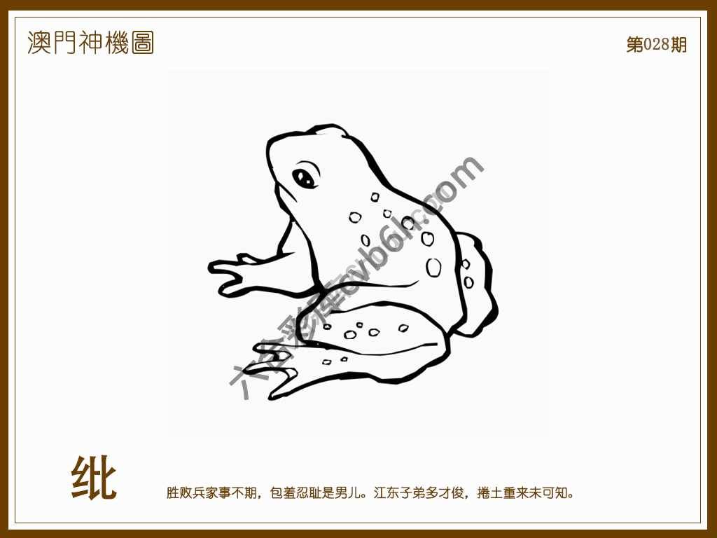 澳门神机图