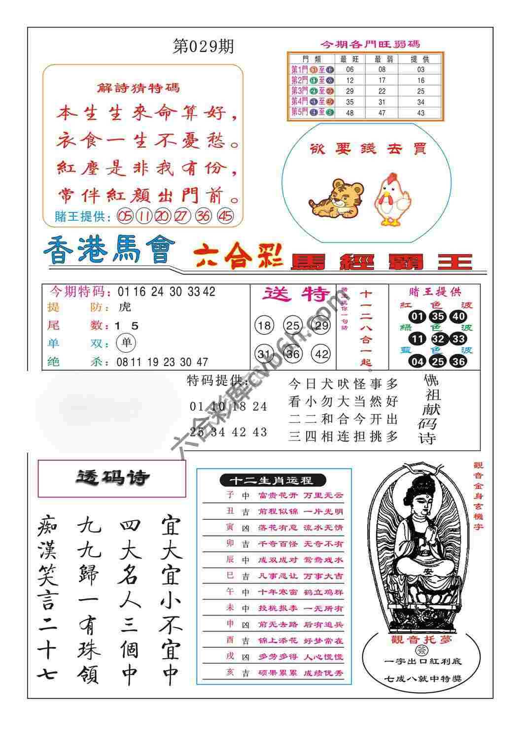 马经霸王