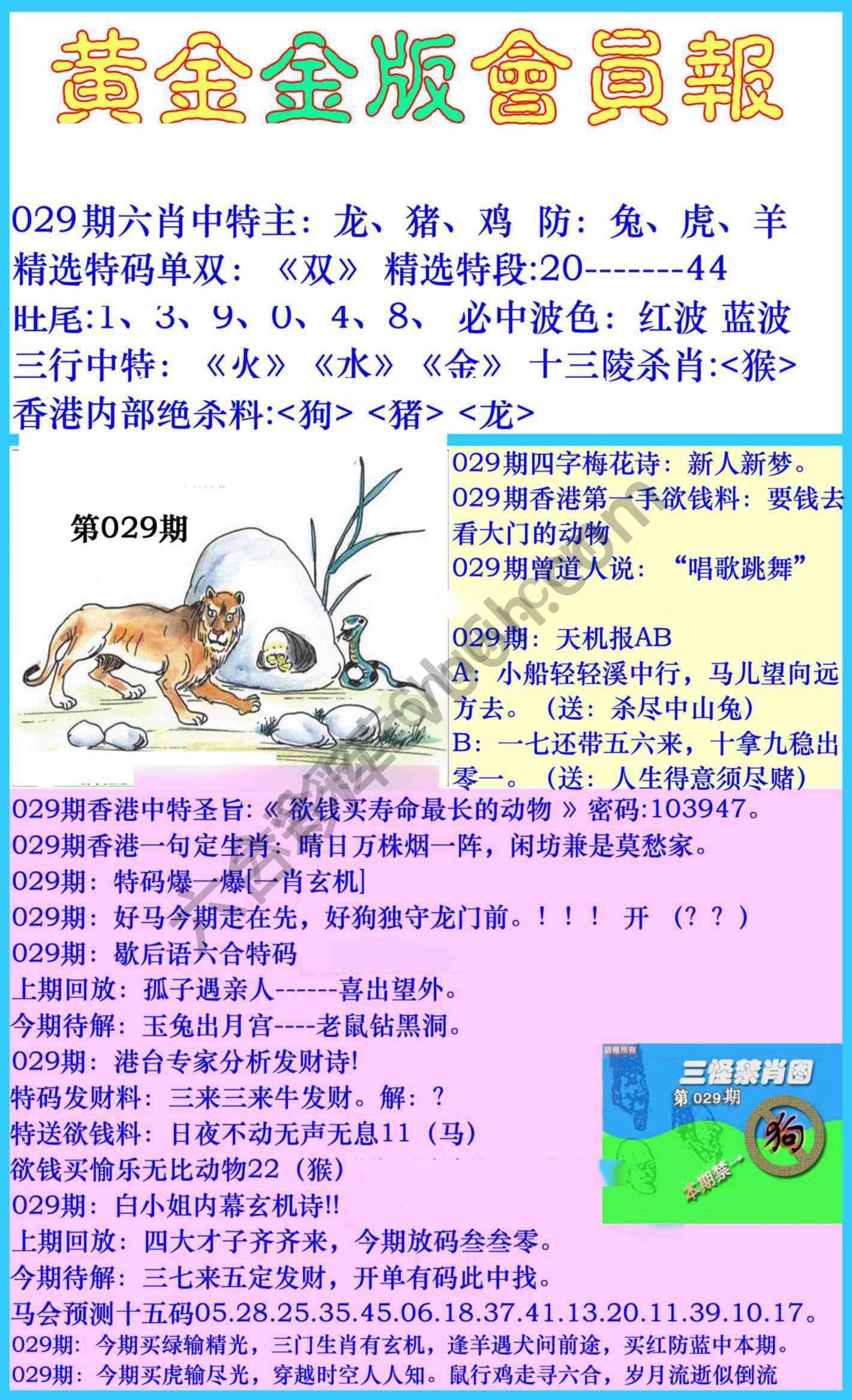 黄金金版会员报
