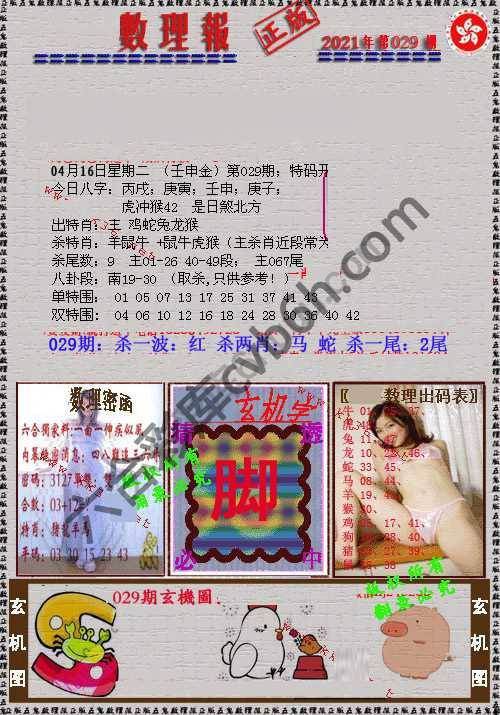 数理报